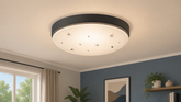 Was tun, wenn Insekten in die Lampe gelangen? Einfache Reinigung und Vorbeugung